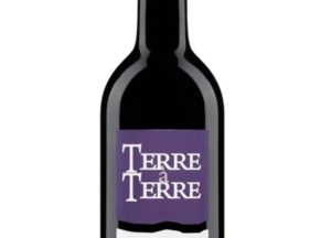 Vin rouge Jean-Noël Bousque Terre à Terre