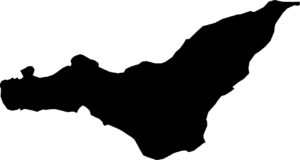 La règlementation interdisant les sacs de plastique chez les commerçants entre en vigueur le 1er janvier 2018