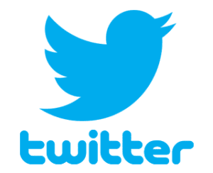 logo de Twitter. Qu'en est-il du contenu pour adultes?
