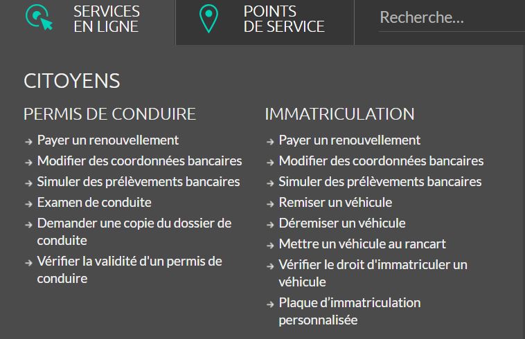 Le système d'acquisition d'une plaque personnalisée de la SAAQ connaît des ratés