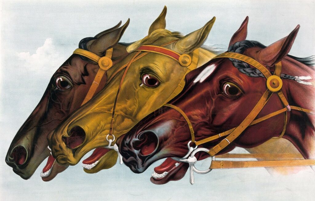 Courses de chevaux dont le Derby du Kentucky